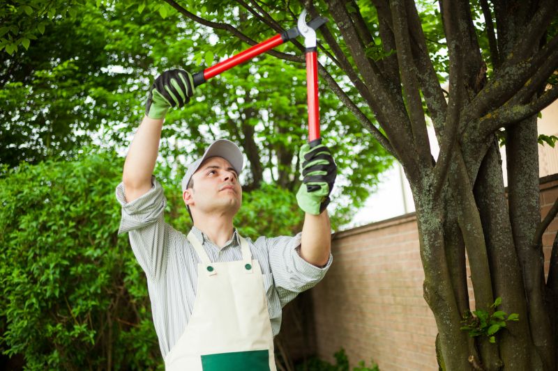 Tree Limbs Removal in Pottstown, PA